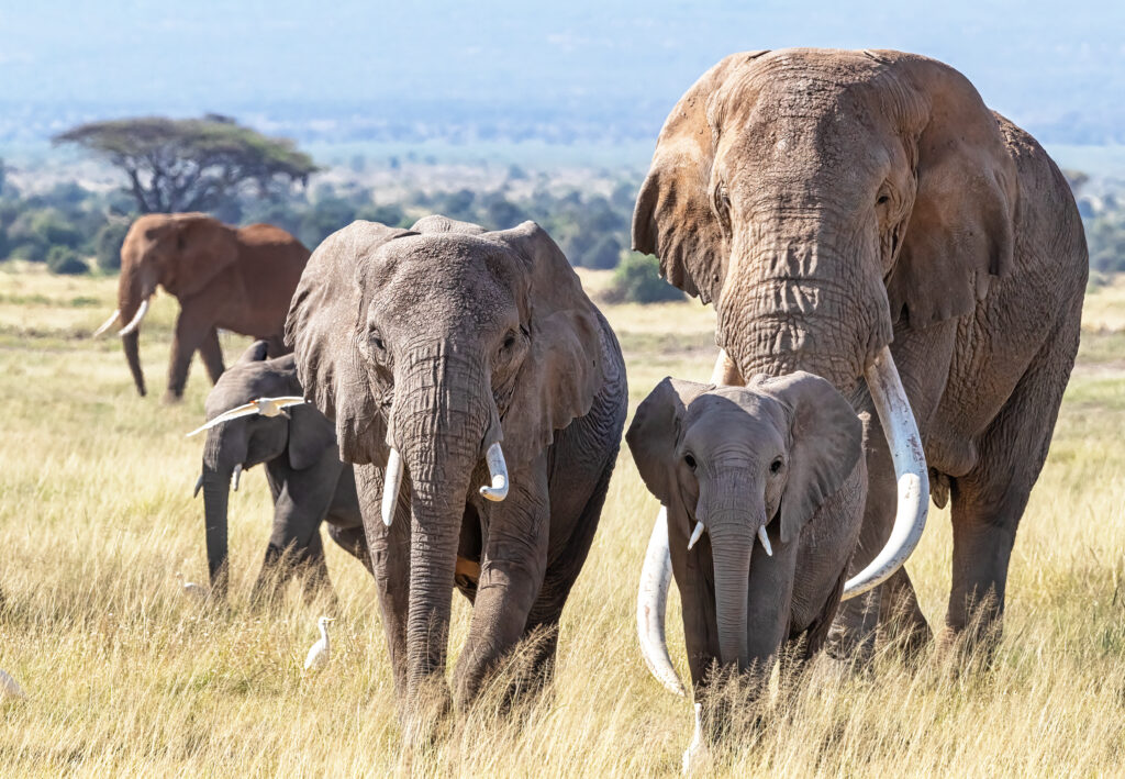 WebScaleDBA's tweet image. 🔍 Learn about the inner workings of PostgreSQL's I/O system and how it handles data storage and retrieval. zurl.co/ygwp #PostgreSQL #DBA #PostgreSQLTroubleshooting #PostgreSQLPerformance