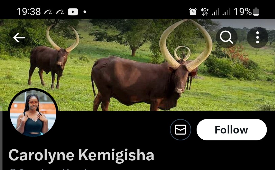 Isn't it odd that there is a group of people who are so pressed abt the #UgandaNGOsExhibition ?
 Check their bios esp the header images..and who they ofte tweet about?

Guess whose bots (catfish accounts) they are? Make a random guess.

@AAgather @GodwinTOKO @Sambannz @SpireJim