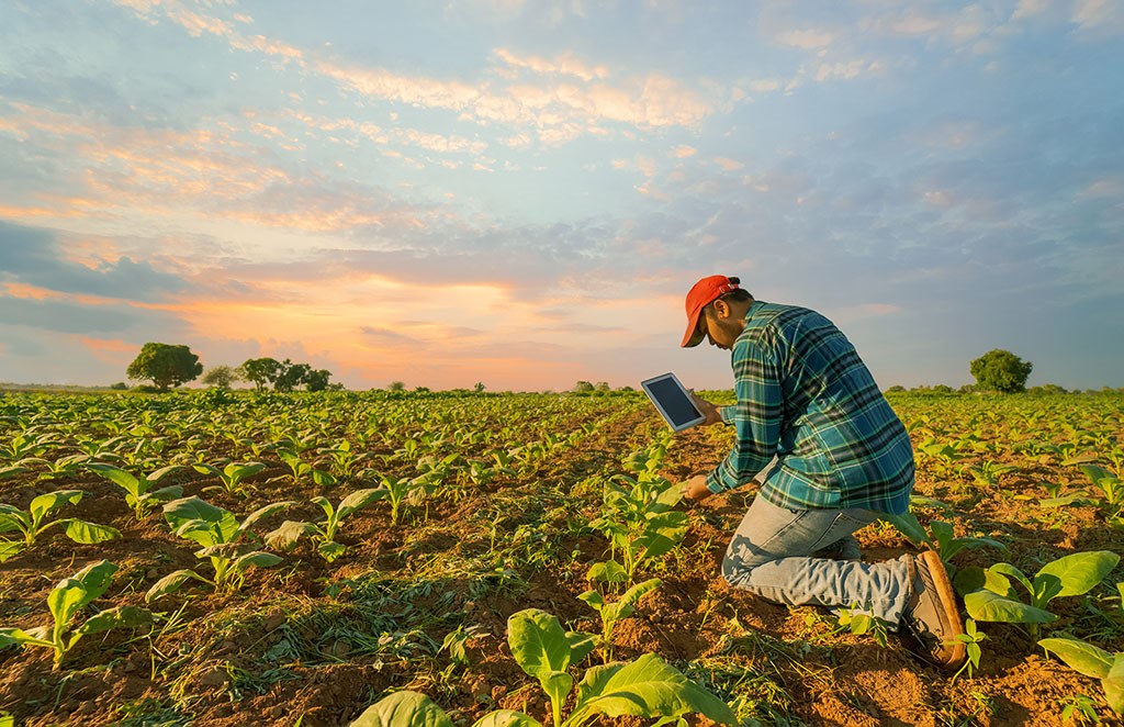 AUTM's tweet photo. Check out this #BetterWorldProject story about the development of the Global Yield Gap and Water Productivity Atlas, an online platform by the @UNLincoln and @WUR that helps boost agricultural production on existing cropland. https://t.co/bAL8PI0aSw https://t.co/QFzy9onooU