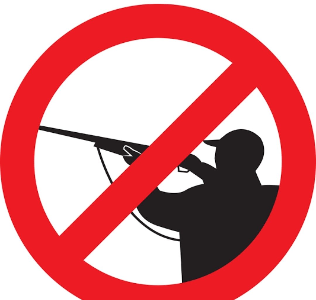 Hakan Bilal Kutlualp (@hbkhbk) on Twitter photo 