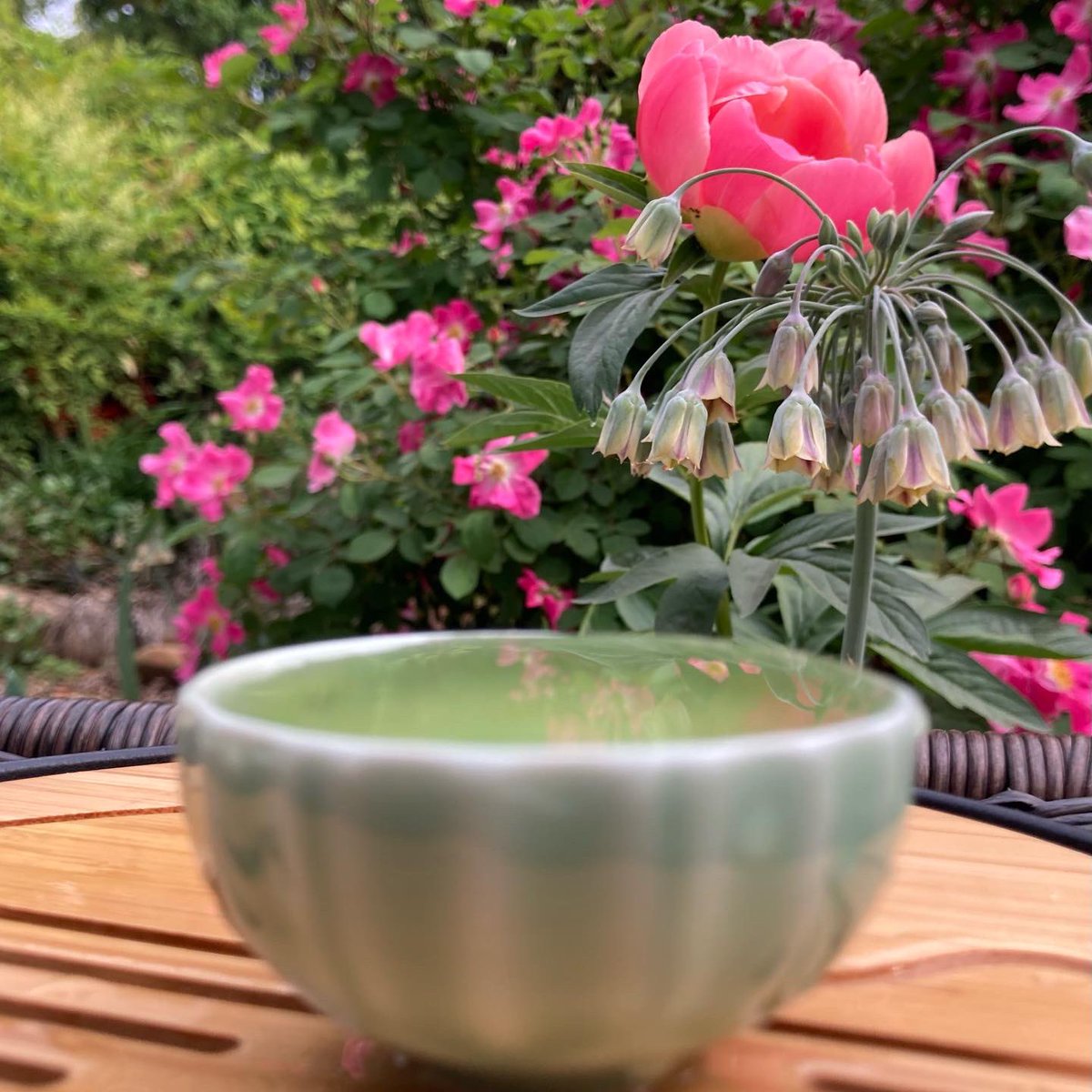 MyTeaPlaces's tweet photo. Happy Monday friends! 🍵

https://t.co/Hw7MdOvUt5 🗺️ https://t.co/rfmKcMRqRW