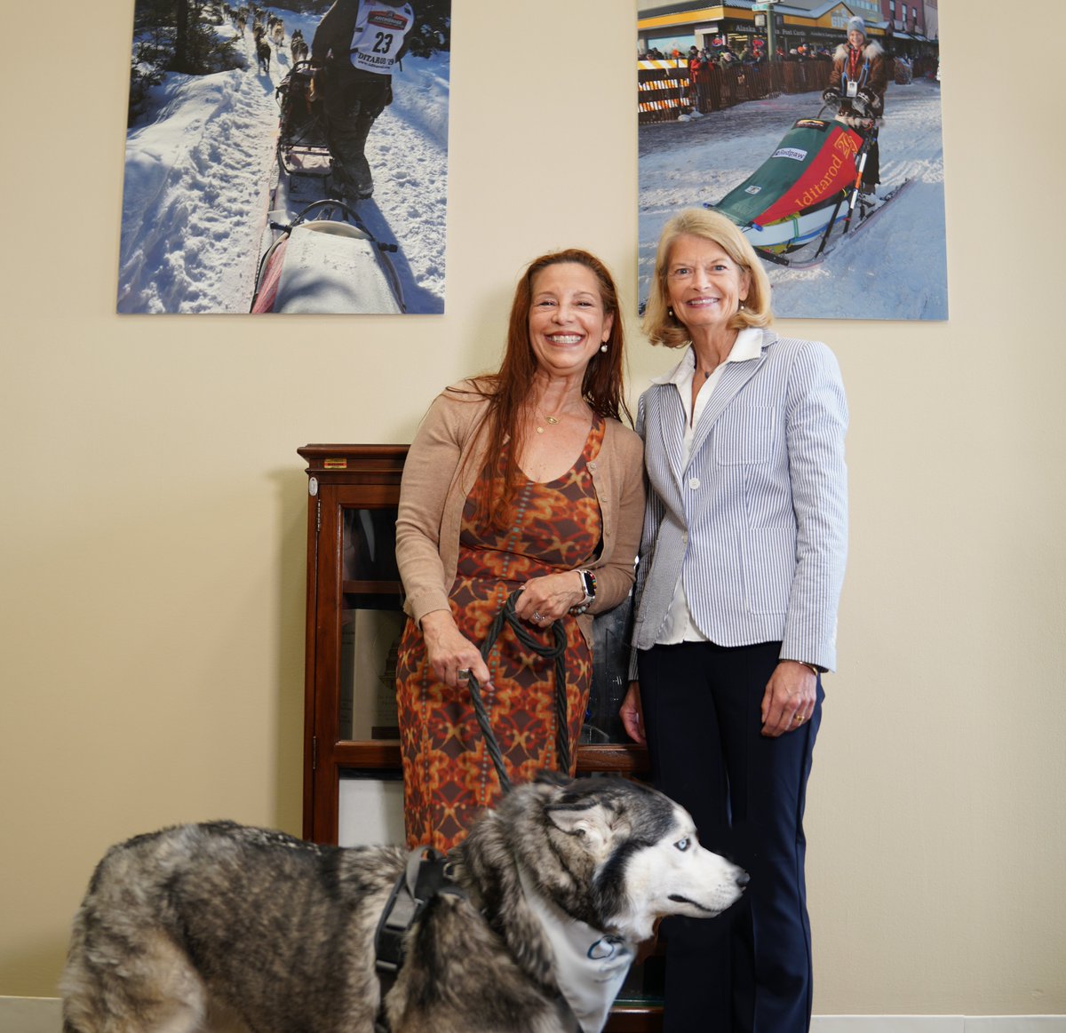 Togo the Siberian Husky was on the Hill with @takechargereg to advocate for canine and comparative oncology research. It was great to spend time with Togo and his owners to talk about the importance of healthy dogs.