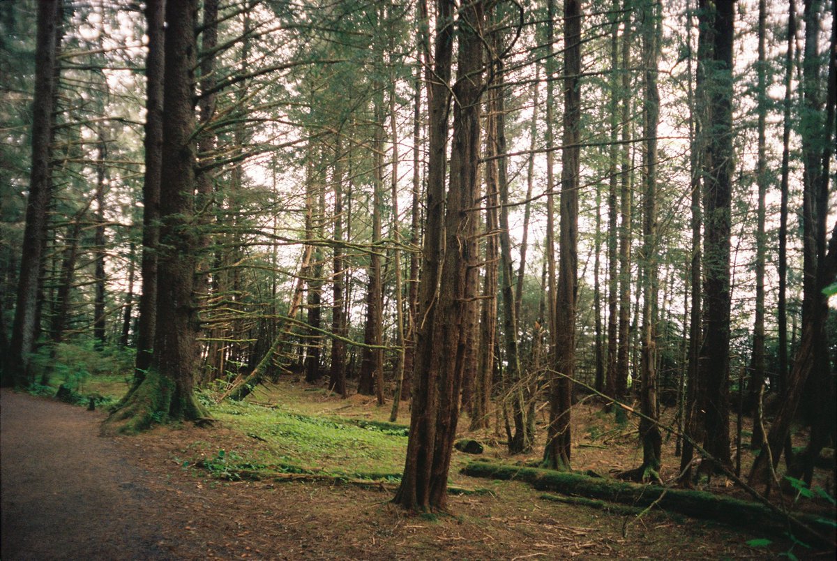 AcoriaA's tweet photo. Portra 400 https://t.co/nLxQd9pbiX