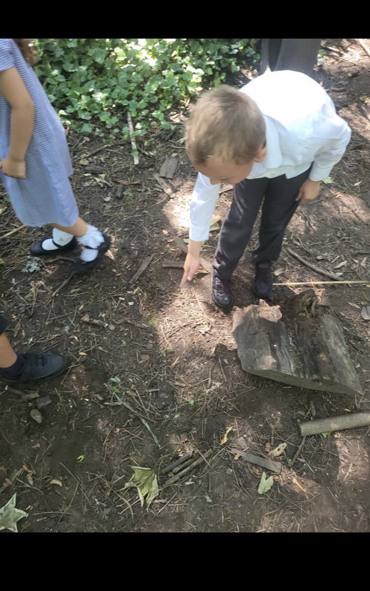 2DCCPS's tweet photo. Exploring micro habitats in Science resulted in a woodlice hunt in the forest 🌳🐜🐛 Not only did we find lots of wood lice, we also found lots of caterpillars, bees and centipedes! @CroxtethC #croxtethscience https://t.co/umrFyJkLiA