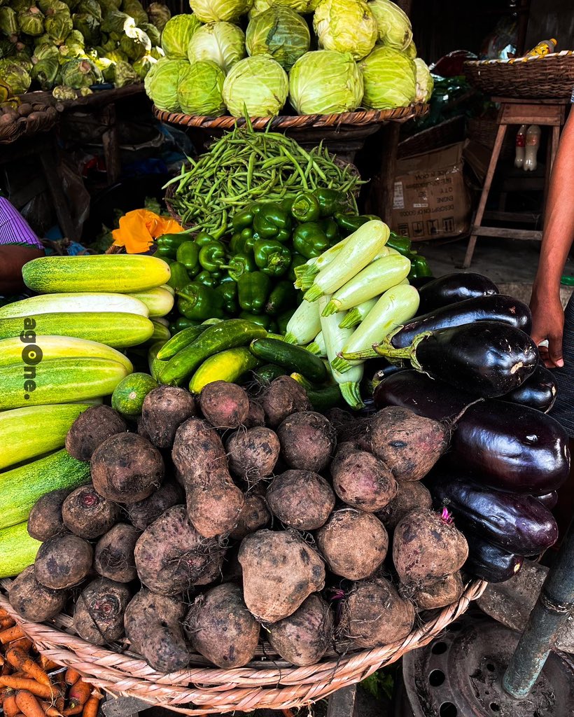 Agone_World_'s tweet photo. Dans le plus grand marché à ciel ouvert de l'Afrique de l'Ouest vous ne risquez pas de manquer l'essentiel pour votre cuisine.
#visitezlebenin #beninvie #beninrepublique #Dantokpa #cotonou #monument #africa #tourism #agone https://t.co/C6VM65VI1Y