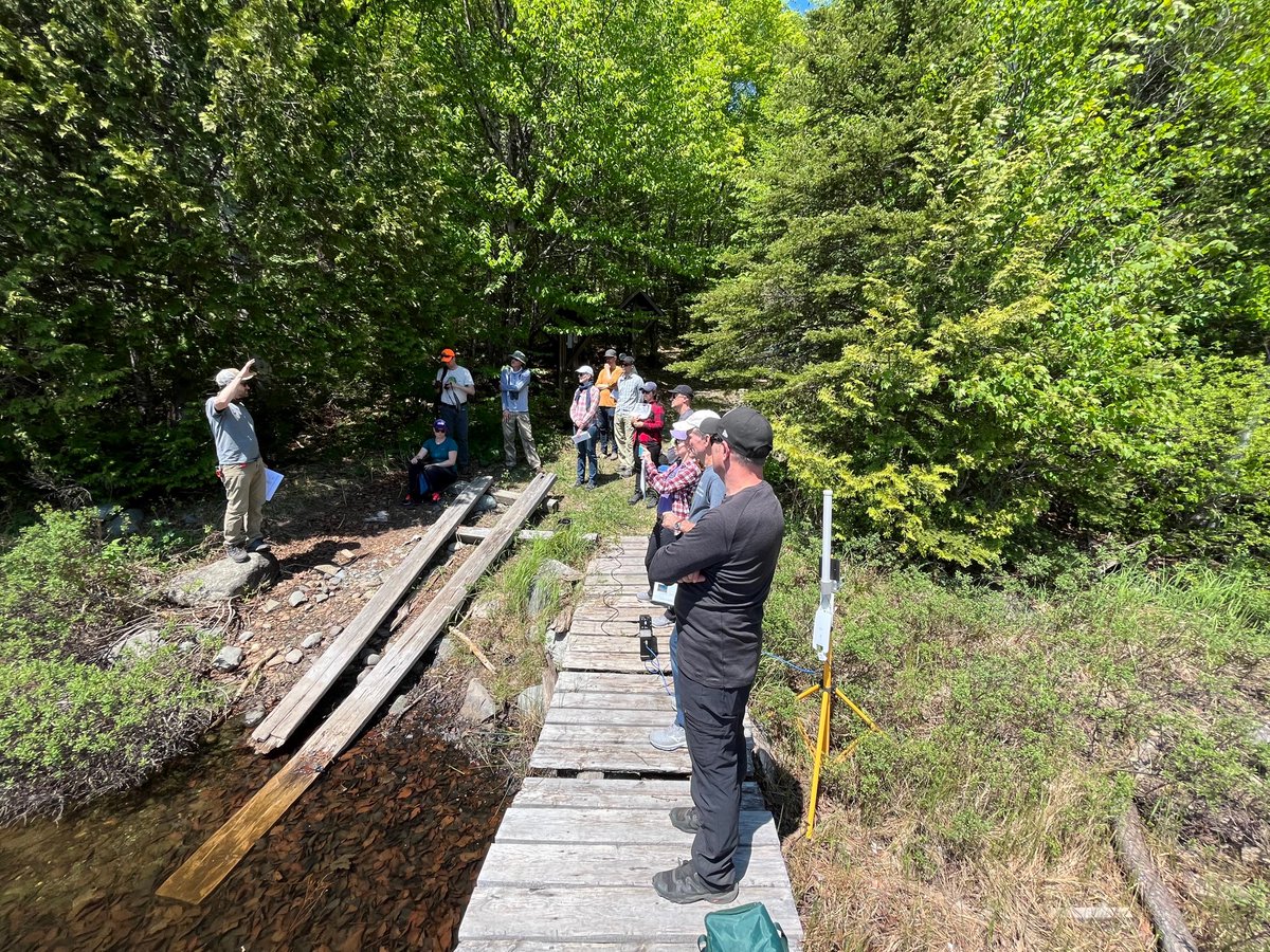 Katalijn MacAfee tweet media