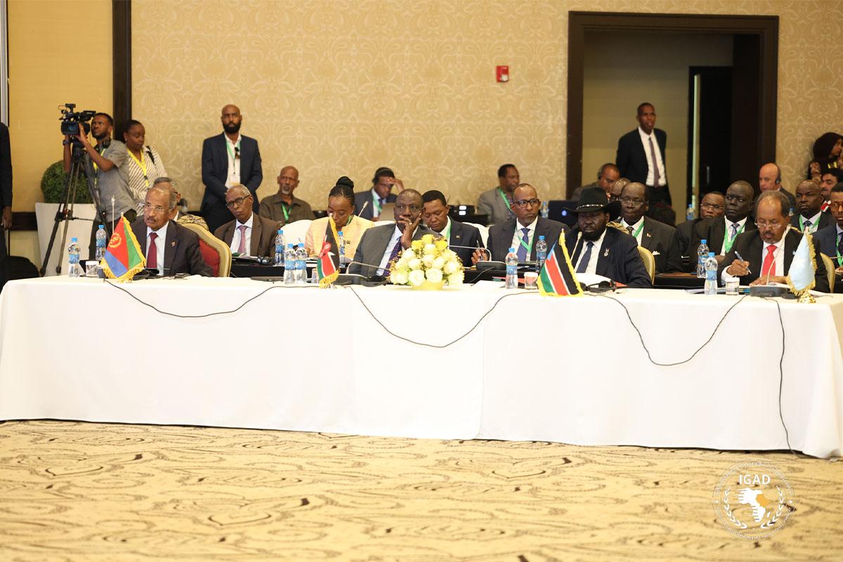 #Eritrea resumed its activity in IGAD & took its seat at the 14th Ordinary Summit in Djibouti.  Eritrea affirmed its readiness to endeavour, in conjunction with all Member States, to the rejuvenation & effectiveness of IGAD & advancement of peace, stability & regional integration