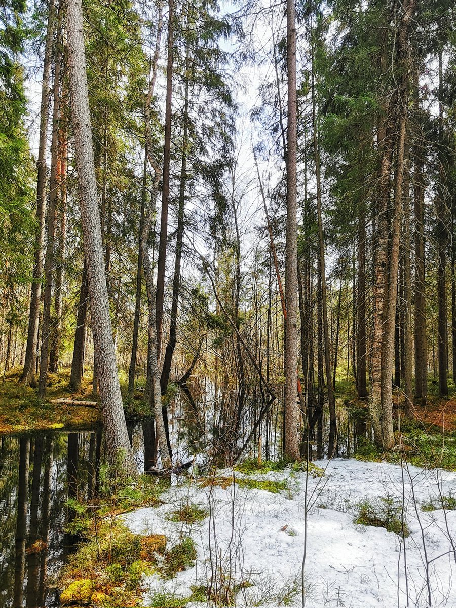 Jani's Photos📷 tweet media