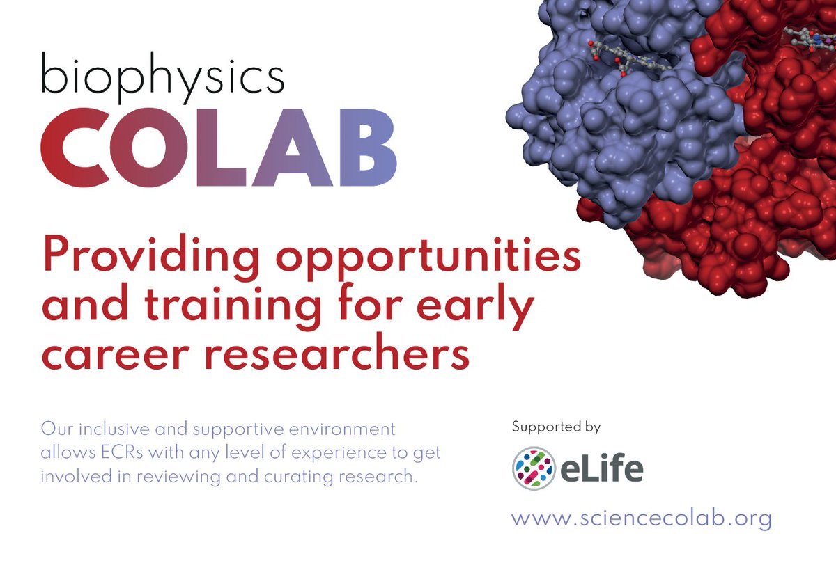 Calling all #ECRs working in #biophysics!
 
Would you like to gain more experience in #peerreview?
 
Then join our peer review mentorship programme, and support our mission to reclaim and democratize science publishing at the same time.