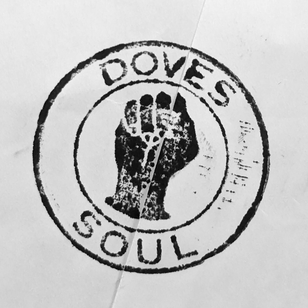 lostcoversdoves's tweet photo. Thank you for your purchase @RobertRileyPho1! We hope you enjoy our new CD ๐๐๐๐
@dovesmusicblog @mentalhealthuk #dovesband #dovesmusic #mentalhealth #mentalhealthawareness #newcd https://t.co/AuABVQulUM