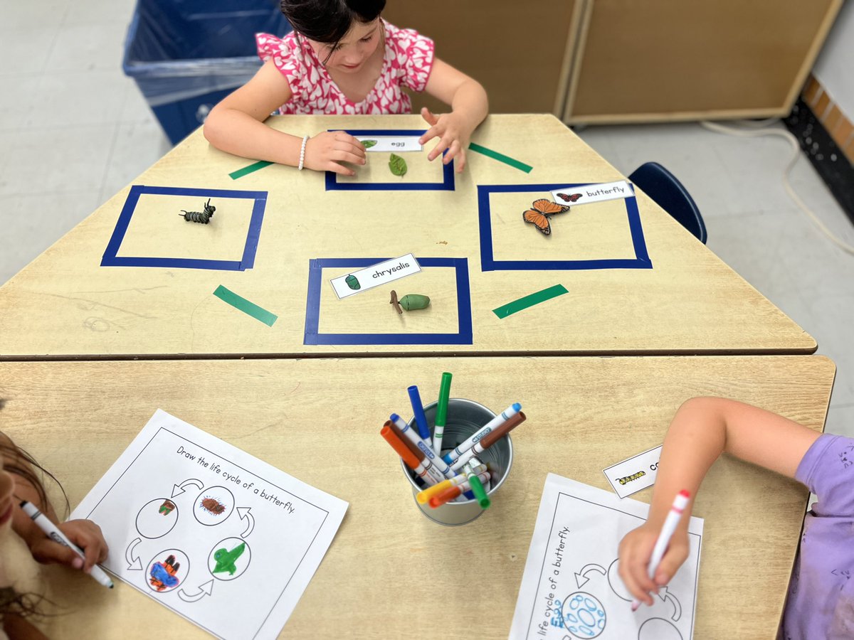 Meaghan Trudell tweet media