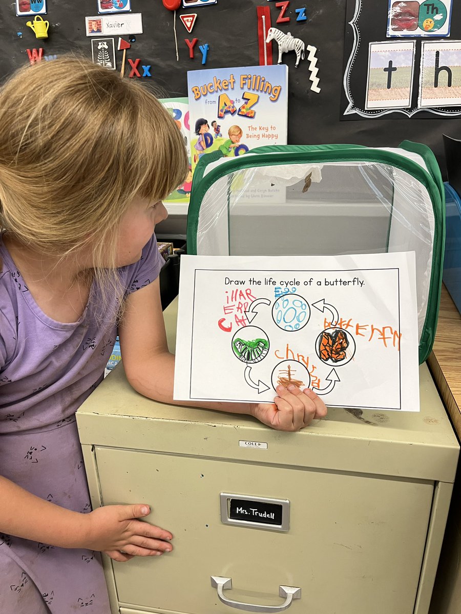 Meaghan Trudell tweet media