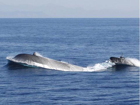 #AstsubaylarTekYürek
Türk Silahlı Kuvvetlerinde Adalet için Astsubay sınıfı daima mücadele edecektir
Astsubayların onurlu TAZMİNAT (1400 TL değil 5000 TL) ve 5400 ek gösterge statü farkı anamızın ak sütü gibi hakkımızdır Bekliyoruz
<a href="/RTErdogan/">Recep Tayyip Erdoğan</a>
<a href="/tcsavunma/">T.C. Millî Savunma Bakanlığı</a>
<a href="/HakanFidan/">Hakan Fidan</a>
<a href="/celebimehmeta/">Mehmet Ali Çelebi</a>