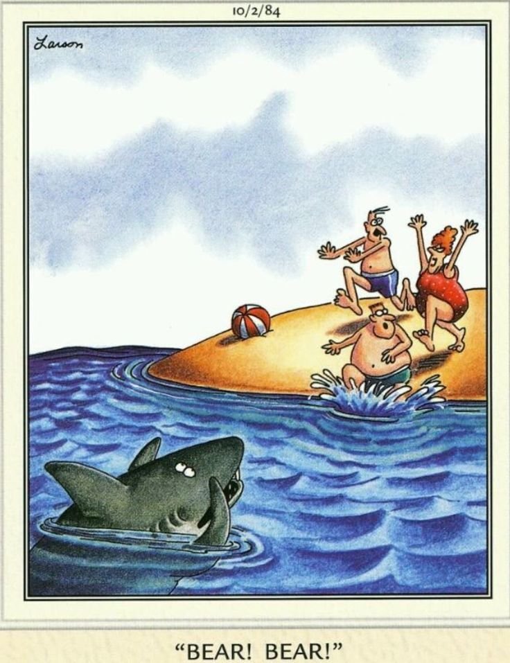 When I heard about the bear on the beach in Florida I immediately remembered one of my favorite comics...