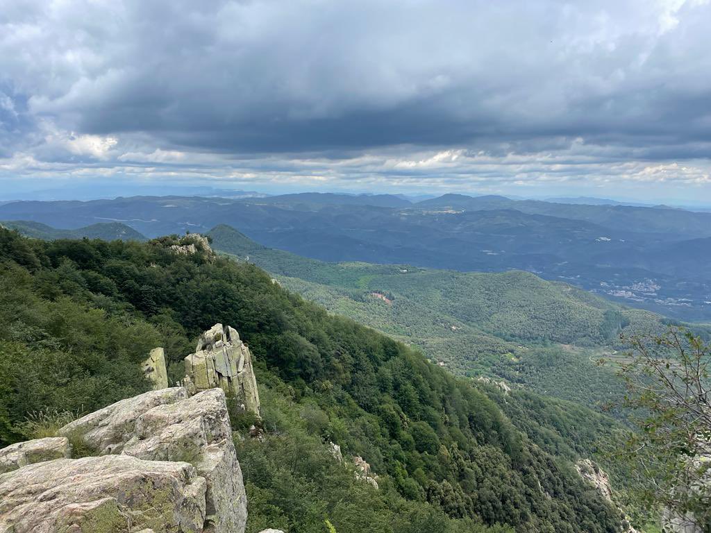 Institut Martí Pous tweet media