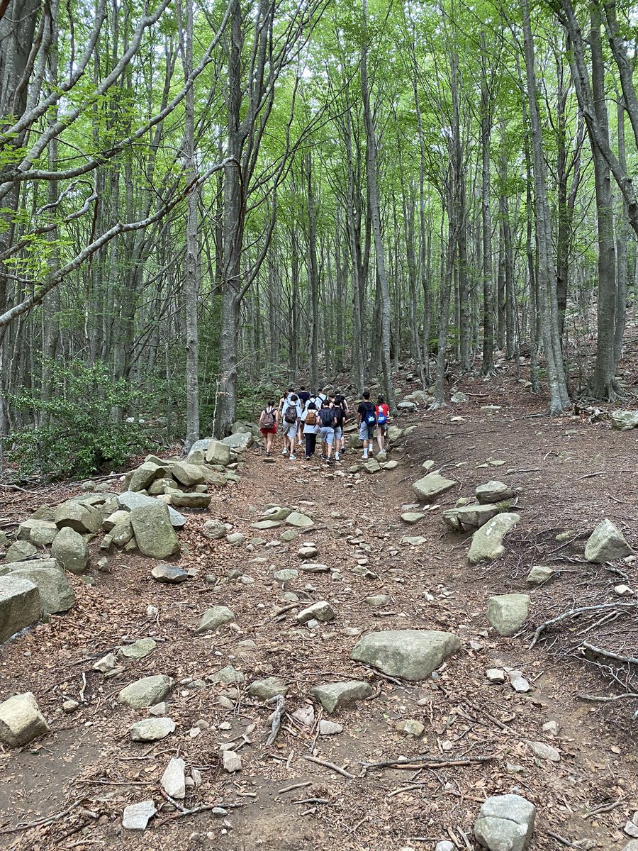 Institut Martí Pous tweet media