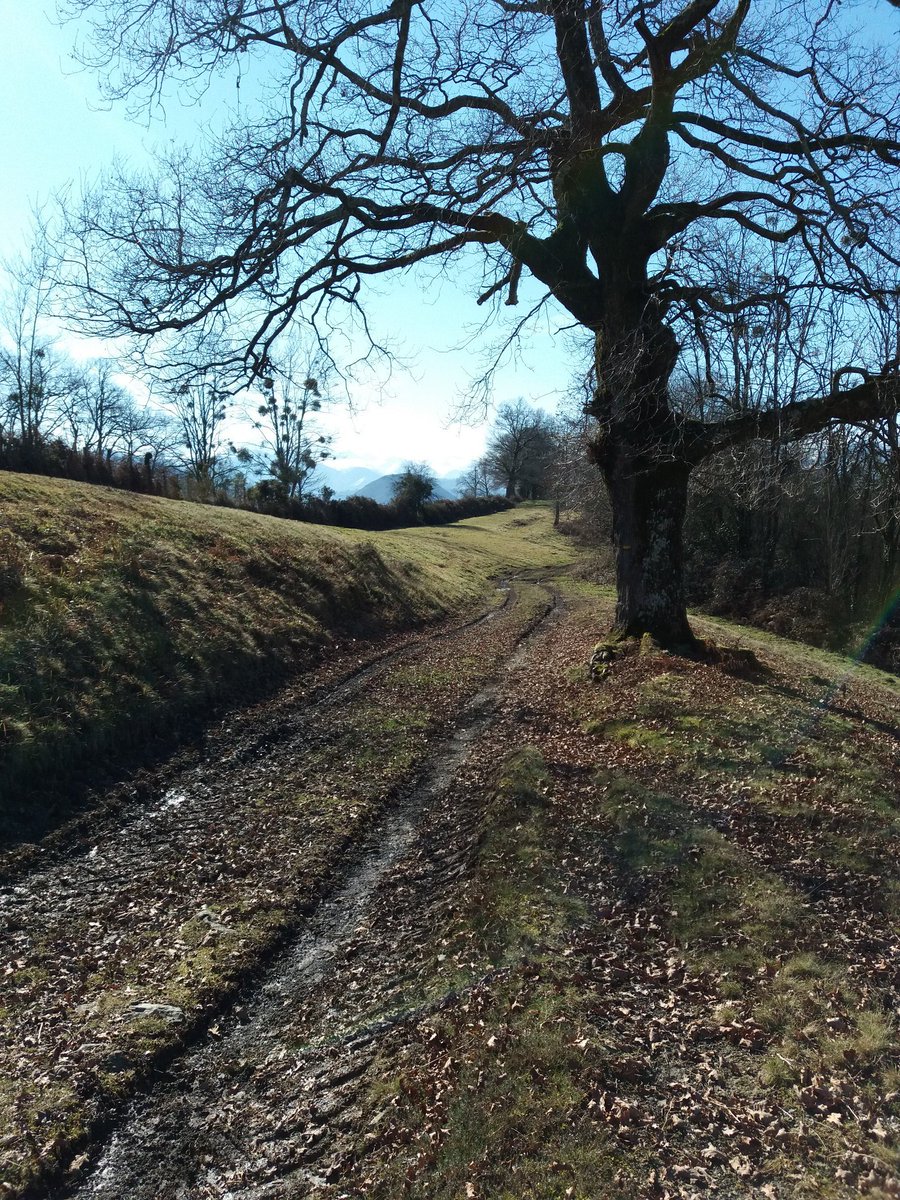 #PaysBasque #nature #Tardets