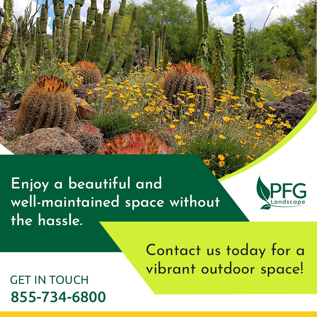 Tired of struggling to keep up with your landscape maintenance needs? PFG has got you covered! 

Let us show you what an upgrade with PFG looks like! Get in touch today to make your dream yard come true. 

#PFGLandscape #landscapingdesign #landscapingservices