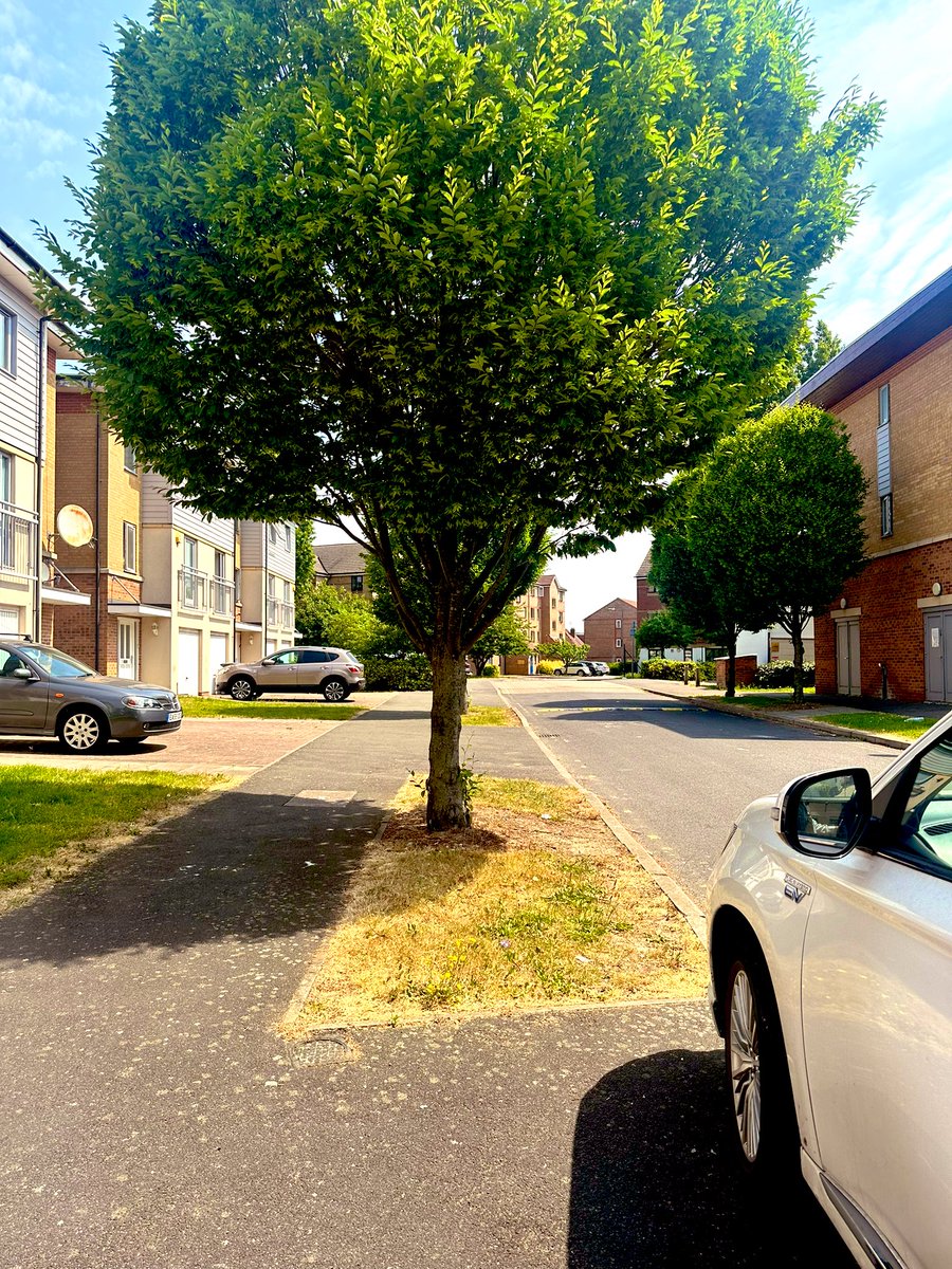 Nice and peaceful out here this afternoon, hope everyone is keeping well hydrated! We will be @ DOMS cafe on Green Lanes, N13 tomorrow 10am-11am, pop in and say hi 👋