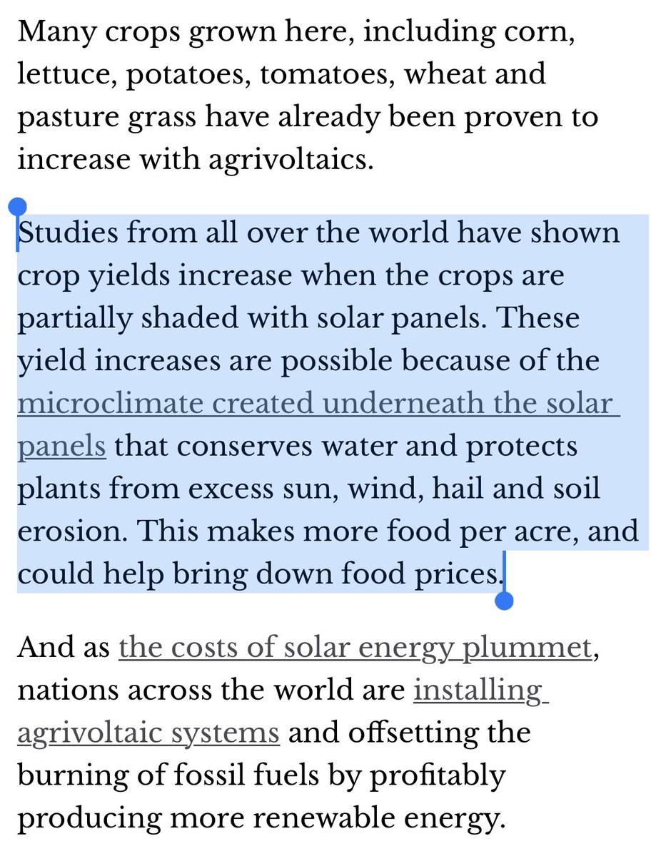 Shading crops with solar panels can increase crop yields. We should've done this years ago.