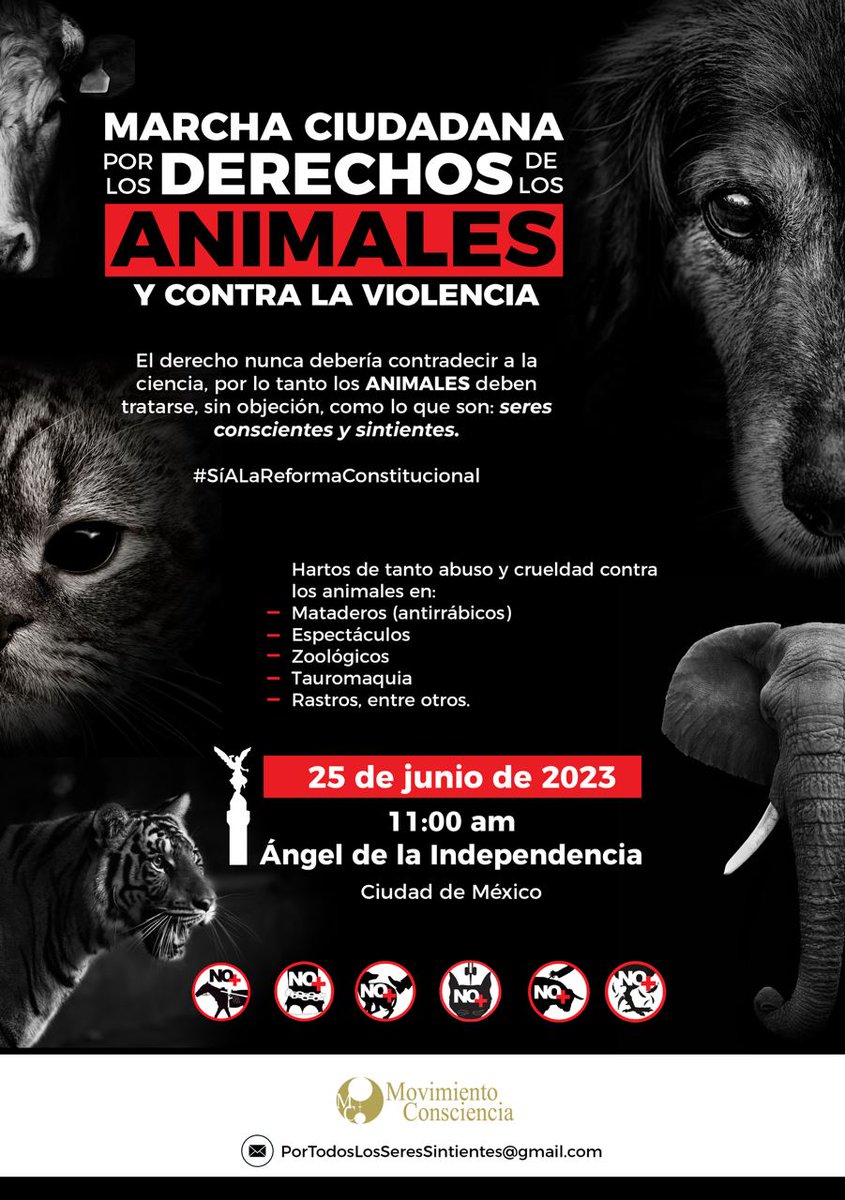 #México
#25deJunio
Desde ECUADOR, apoyamos e invitamos.
#MarchaDerechosAnimales