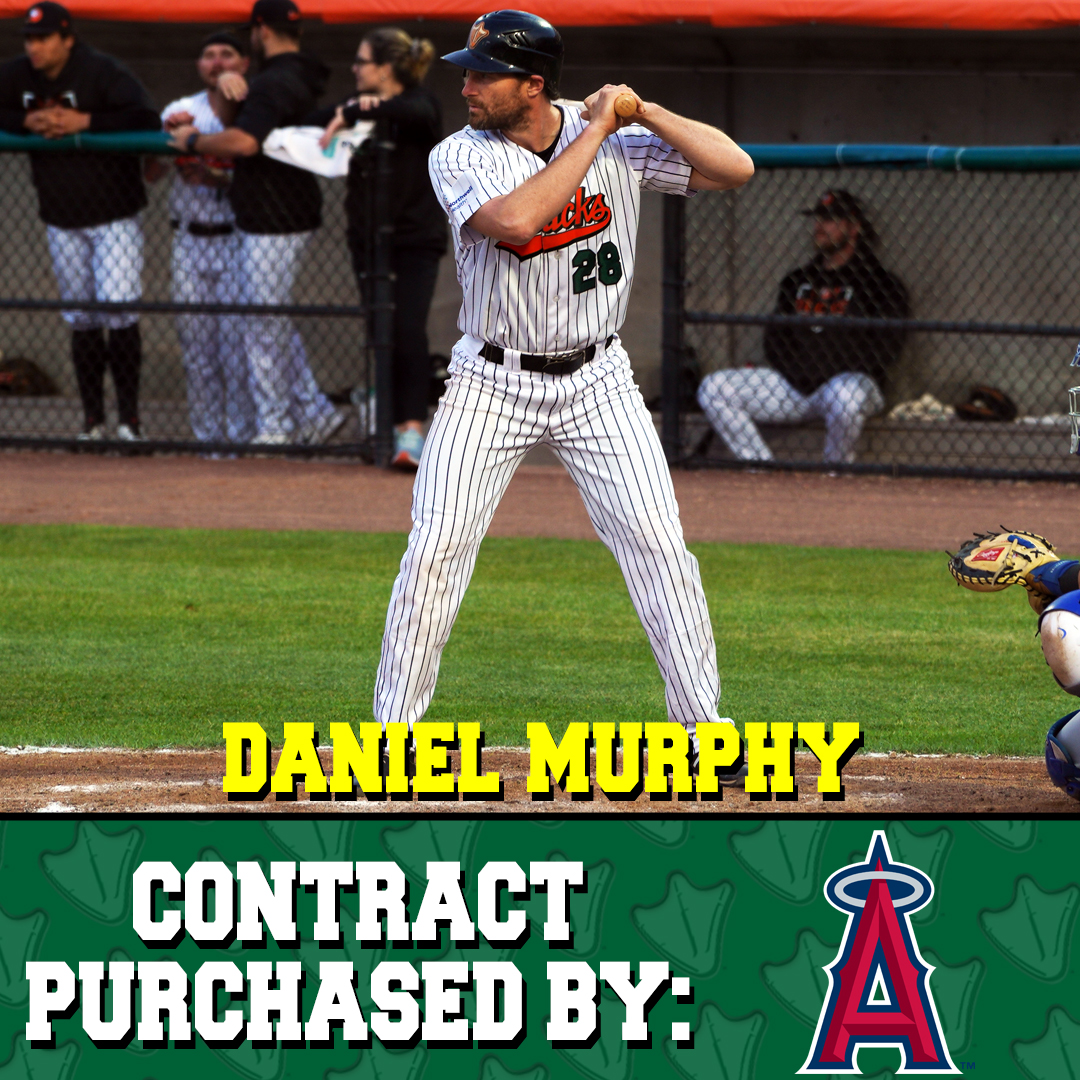 Long Island Ducks on X: Congratulations to Ducks infielder Daniel Murphy!  The three-time National League All-Star has had his contract purchased by  the @Angels! He will report to the Triple-A @SaltLakeBees. 📰