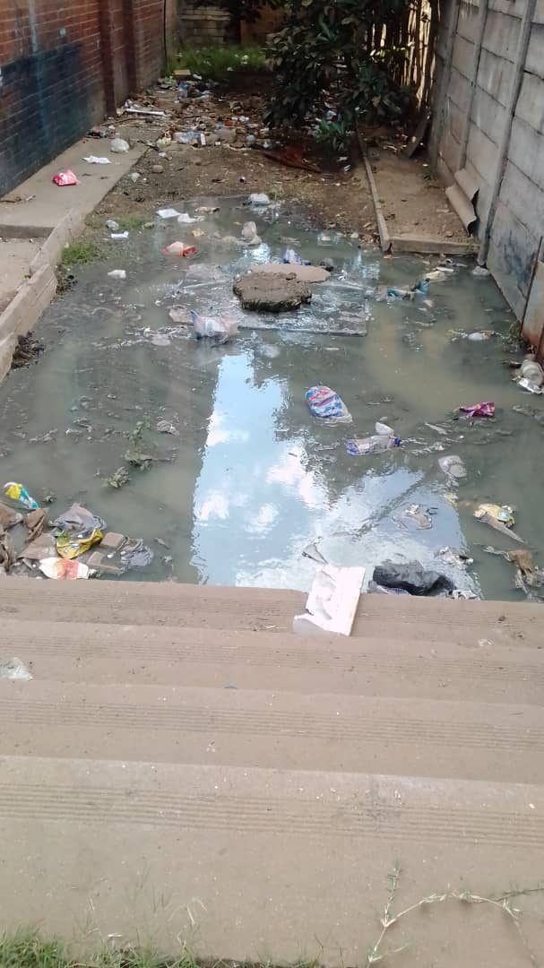 CHRA Harare tweet media