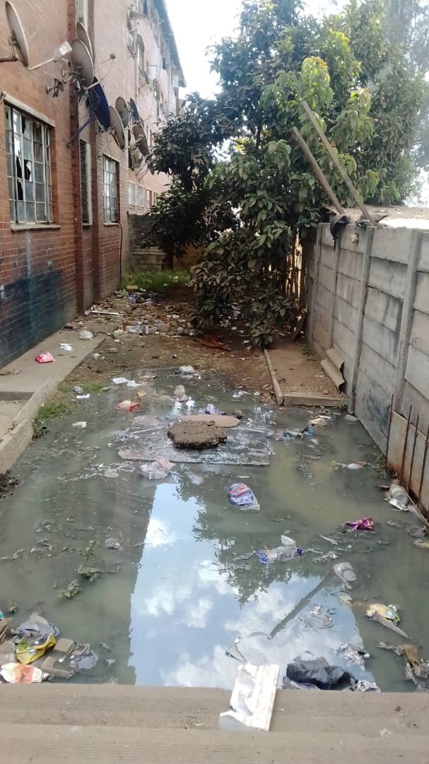 CHRA Harare tweet media