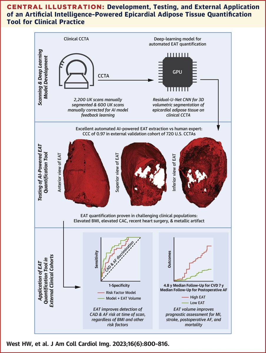 Automated detection of epicardial adipose tissue via #DeepLearning on #YesCCT provides important #CVD diagnostic and prognostic risk data. bit.ly/45W8YEH #JACCIMG #Atherosclerosis #cvImaging #CardioTwitter @Charis_Oxford @HenryWWest