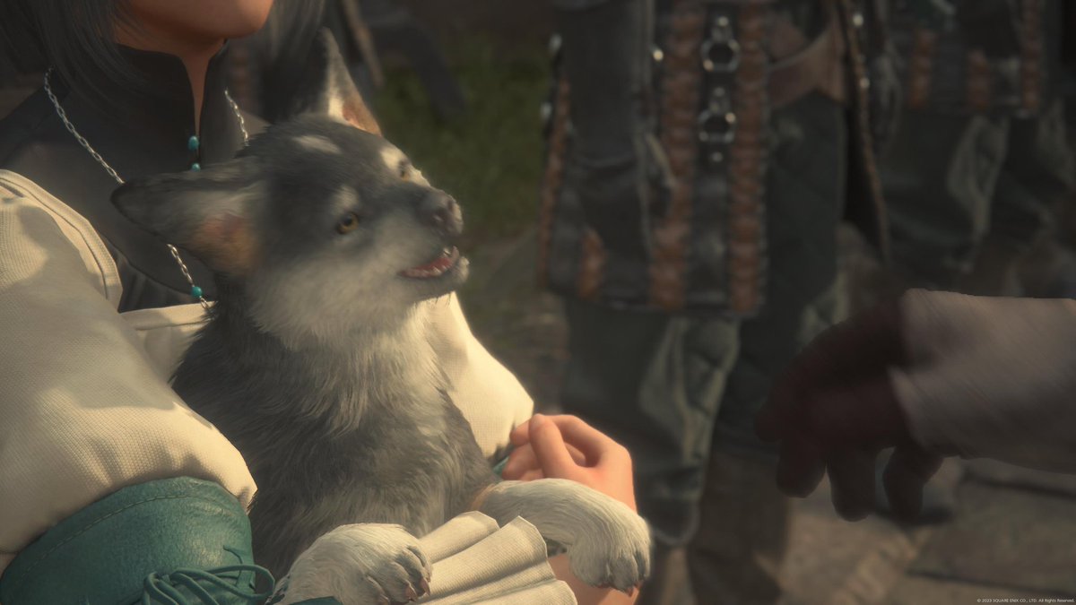 ConnorWoodRPD's tweet photo. #ToFSweepstakes
If harm comes to the precious boi we riot https://t.co/LAP9ktj6j5