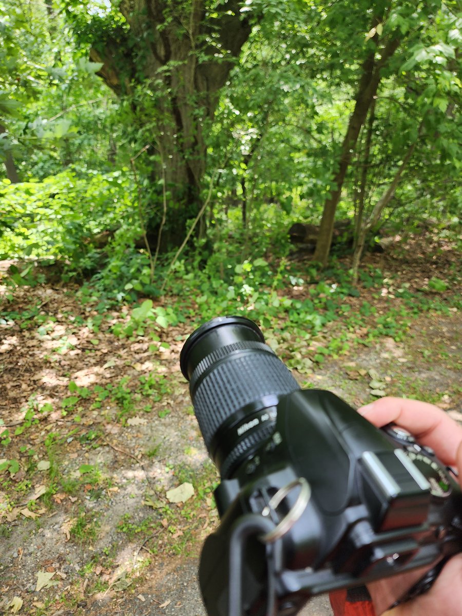 DJ/JoJo ♡ ️♡ on Twitter: "Yall i just saw 2 dudes having gay sex in the