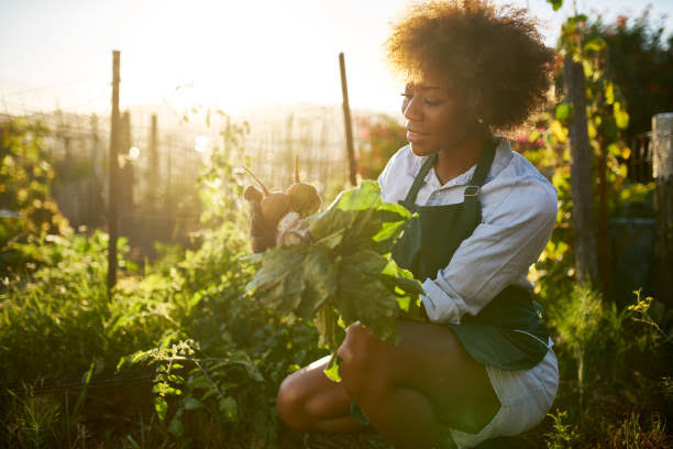 SabzerAzoh's tweet photo. You need to detox your body to offload all the toxins that disturbs your immune system. Your body was designed to eat organic food, plant your own food. You should spend more time in the sun, it actives all DNA strains and spiritual abilities... https://t.co/NhyA1LFuUD