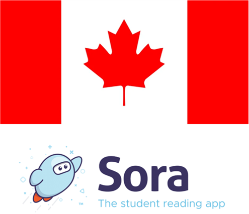 As you are closing in on the end of another wonderful year, click the link to download your handy Summer Checklist for Sora to keep your collection in tip top shape for fall. <a href="/Sorareadingapp/">Sora, by OverDrive Education</a> 
discoversora.overdrive.com/canadasummerch…