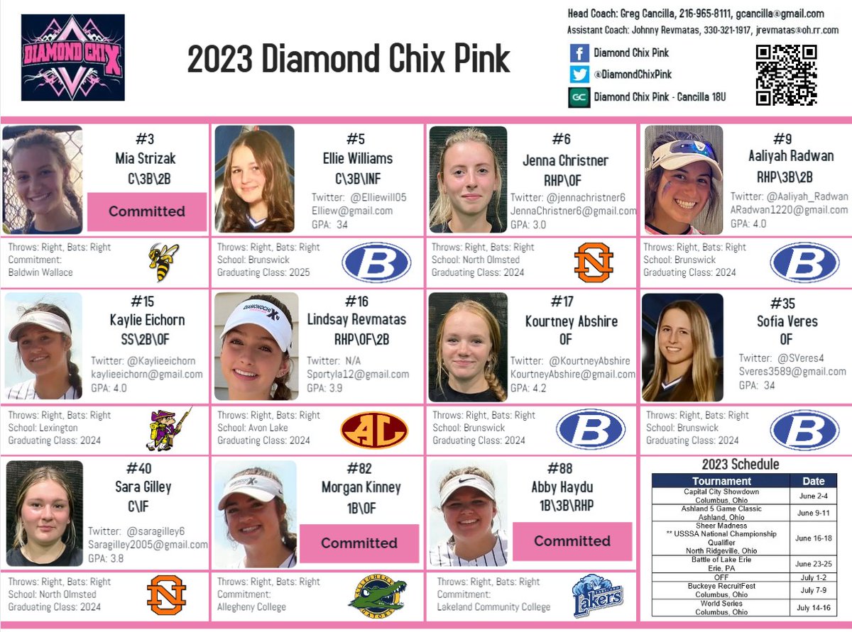 Diamond Chix Pink tweet media