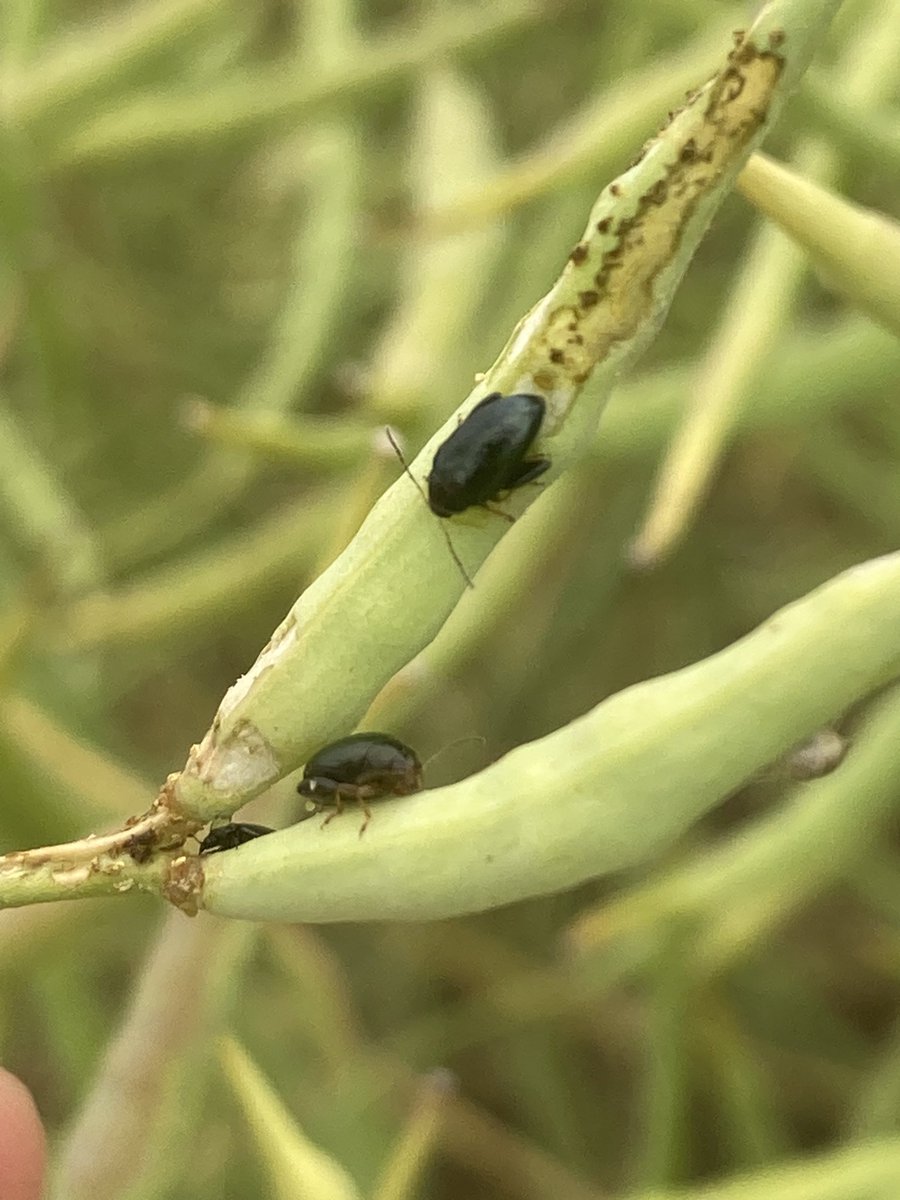 Emmanuel BONNIN tweet media