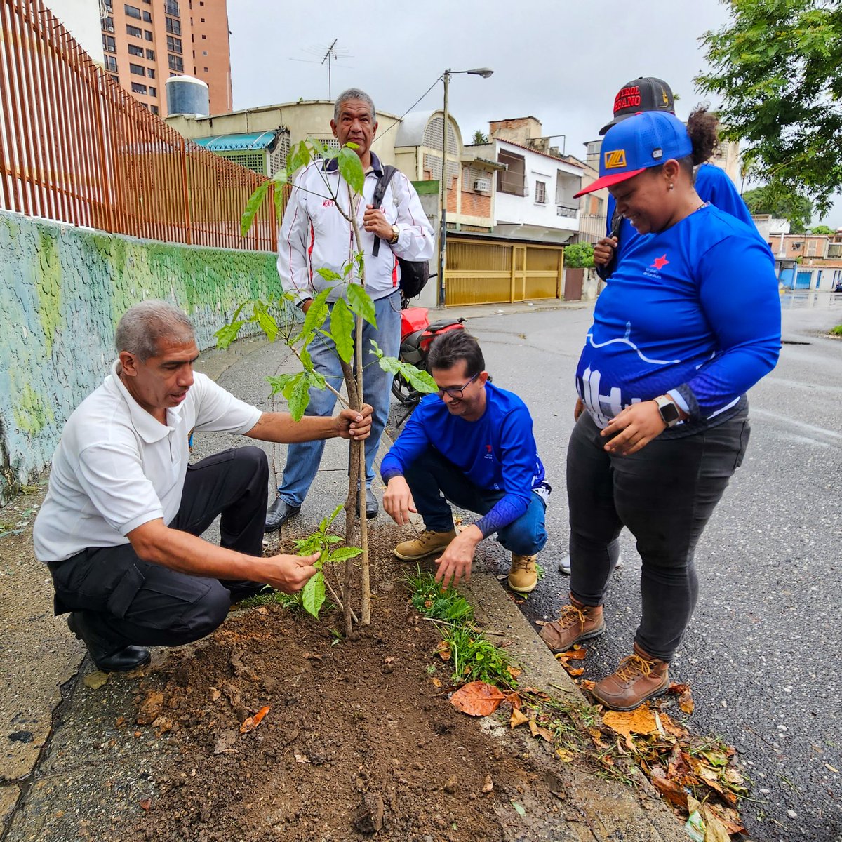 UrbanoCcs's tweet photo. #Entérate 🗞 - Siembra de árboles en la parroquia San Pedro, con motivo al aniversario de la U.E.B Salías, conjuntamente con el Grupo Scout Roraima, CoD Humanos, Grupo Ecológico de San Pedro y la Alcaldía de Caracas. 🌳

@gestionperfecta 
@AlcaldiaDCcs 

#IránYVenezuelaUnidas https://t.co/XFgBgPzCuL