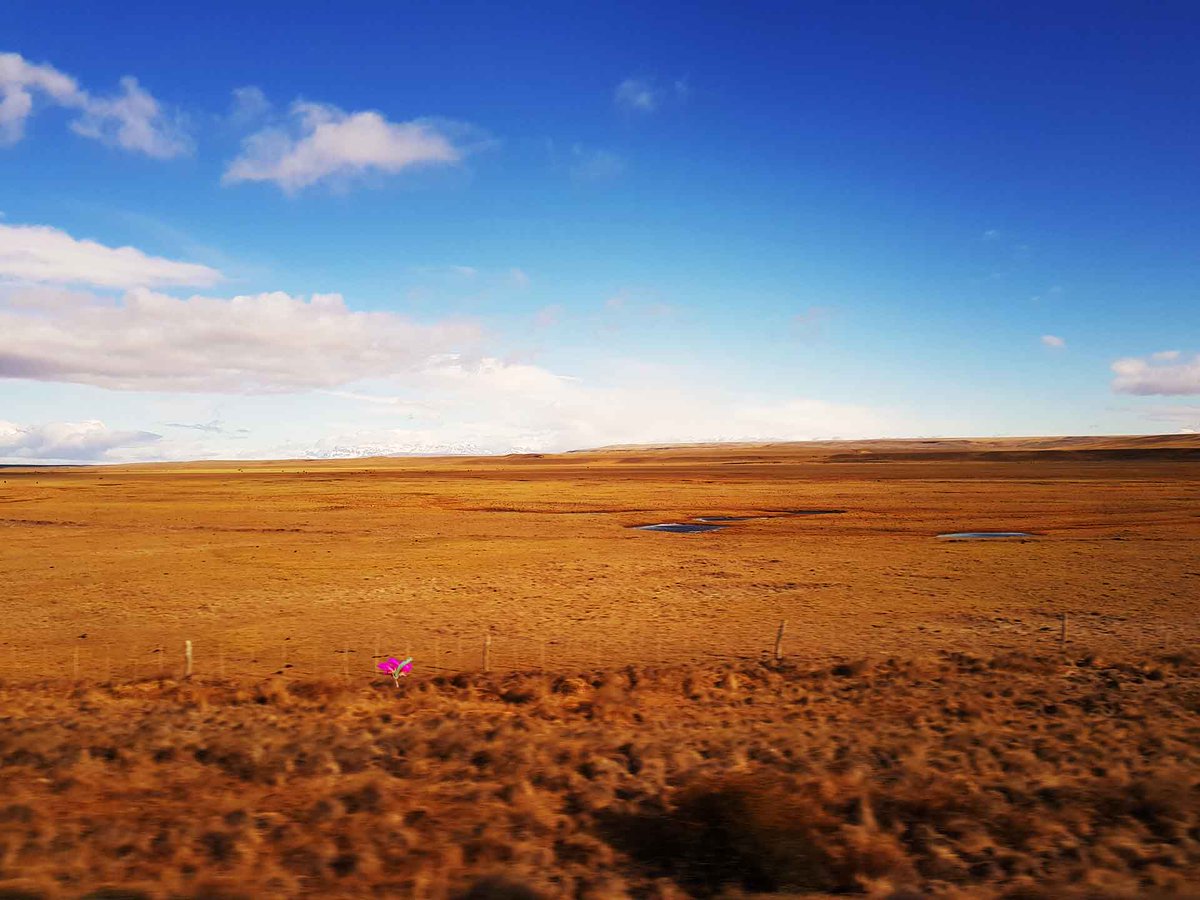 Twitter war die erste Social-Media-Plattform, die unser Museum 2009 nutzte. Nach 14 Jahren verabschiede ich mich und sage Danke fürs Folgen, für alle Likes, für das Interesse an unserem Museum und unserer Arbeit. ojm.at/blog/2023/06/1…