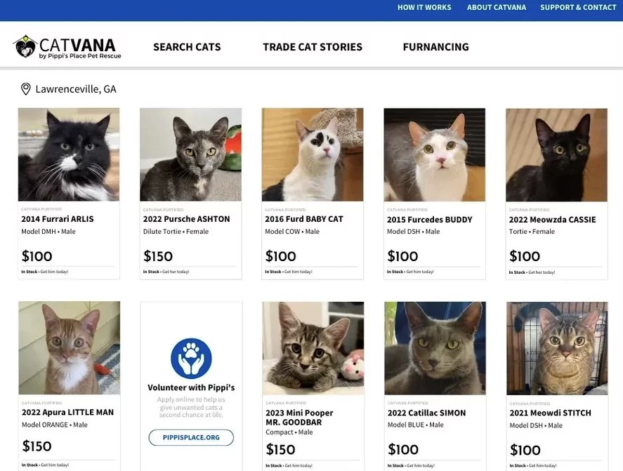 centralFLvoice's tweet image. A pet shelter worker in Georgia was browsing through truck listings when an idea for an ad campaign struck her. Never did she know that it would be viral and attract the attention of a lot of people.
Kayla Delcoure manages the social media page for

centralfloridavoice.com/cat-adoption-a…