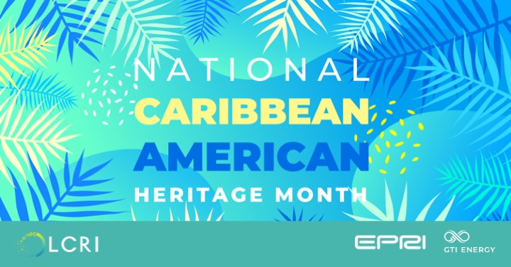 Low-Carbon LCRI tweet media