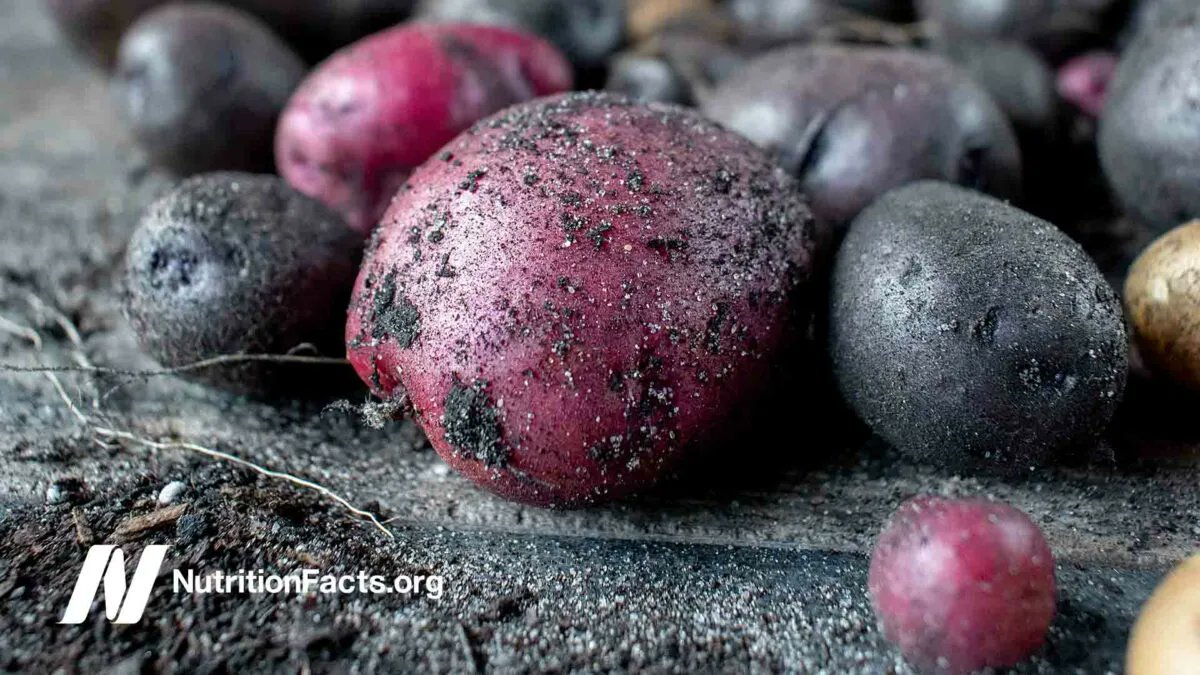 If you compare the antioxidant activity of white, yellow, and purple potatoes, yellow potatoes, such as Yukon gold, have about twice the antioxidant power as white potatoes, but purple potatoes have 20 times the antioxidants of white ones. bit.ly/3hBIqAF