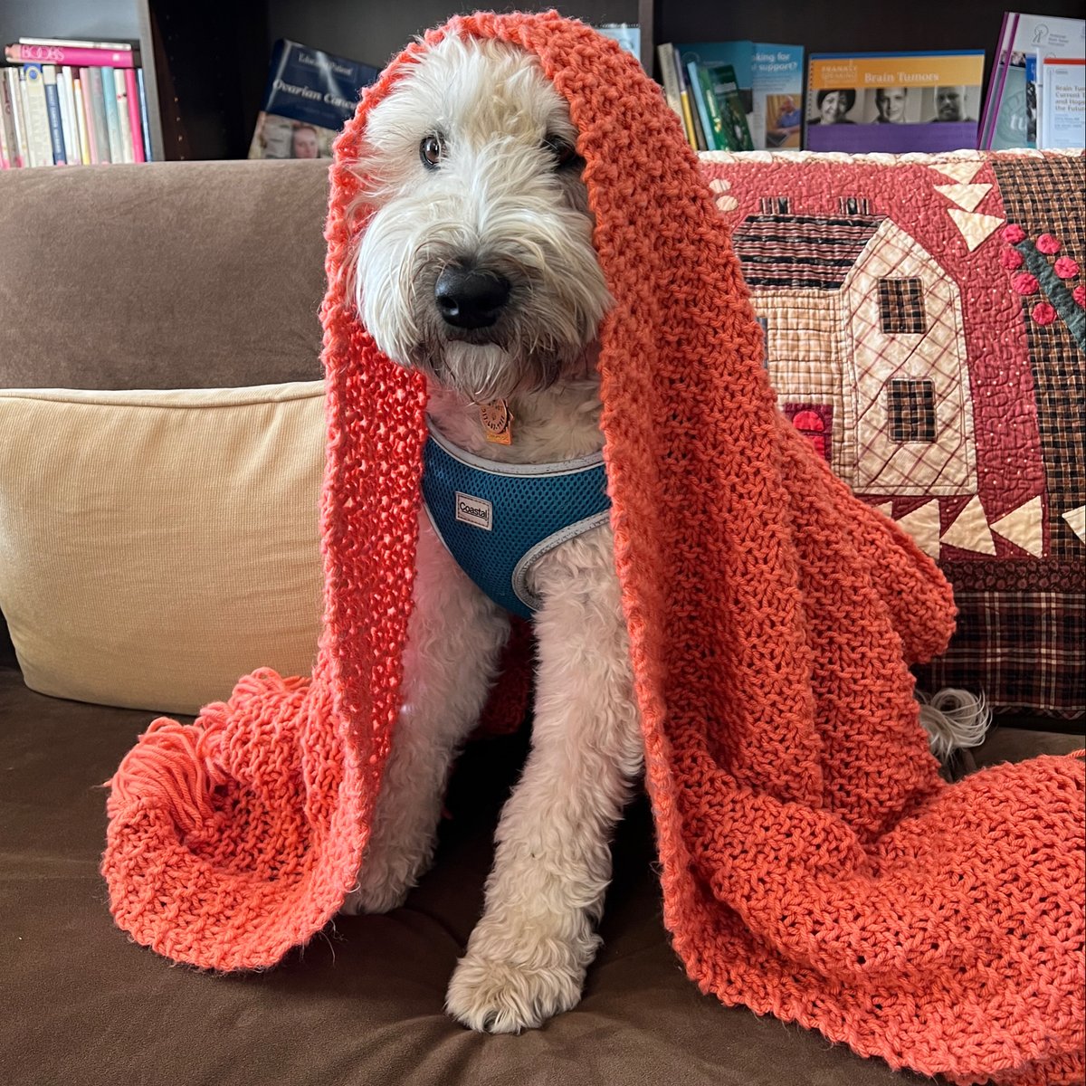 Intern Margot is giving ‘Rainy Monday Vibes’, &amp; we are in full support. Feeling gloomy &amp; want to spend a few minutes in solitude with a fuzzy blanket? We have you covered! Our doors are always open &amp; we personally think it’s a little more sunny once you enter the Clubhouse! 🤍