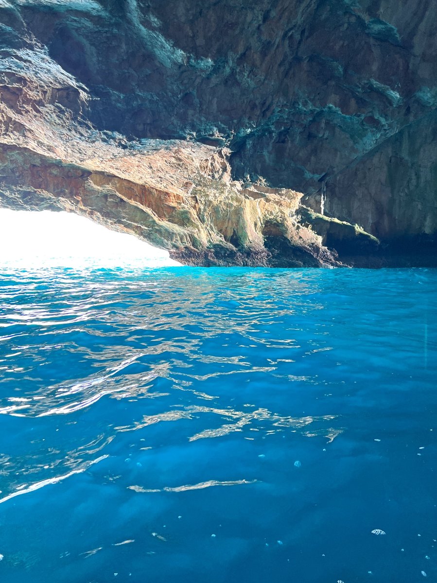 90_frog's tweet image. The water is so clear and blue