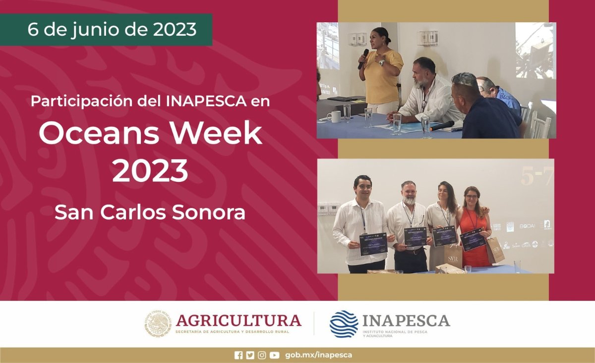 IMIPASmex's tweet photo. Personal del INAPESCA propone a la Secretaria de Turismo del Gobierno del Estado de Sonora , se diversifique la oferta turística como las visitas a los cultivos de Ostión en Puerto Peñasco o el turismo científico. https://t.co/jZPyNHx8Vx