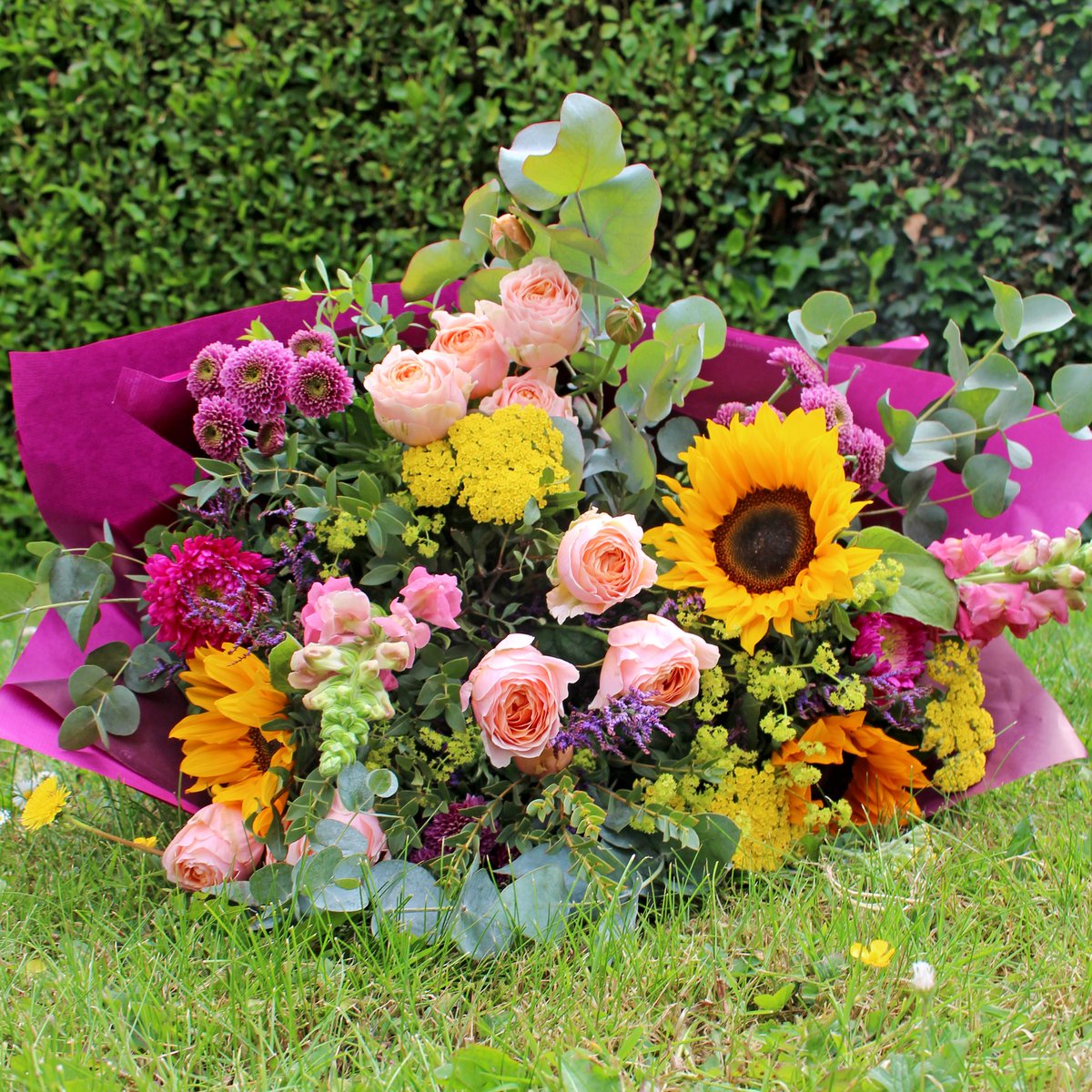 ☀️Summer Sunshine Bouquet💐

 A stunning selection of flowers filled with sunshine and summer classics. Bright yellow sunflowers, peachy spray roses, blush pink snapdragons, and more. Bring the sunshine indoors with this gorgeous bouquet!

greendoorflorist.com/product/weekly…

#greendoorstyle