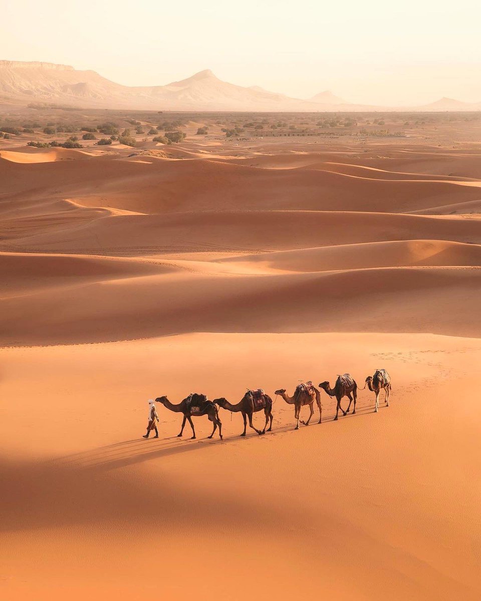 Sahara desert trail | cc emmettsparling