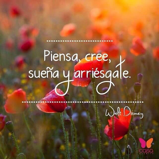 nancygmkt's tweet photo. Siempre he sido fiel creyente de estos 4 pasos, ¿y tú? 
Gracias 🫶 #WaltDisney https://t.co/0chZrVKmMq