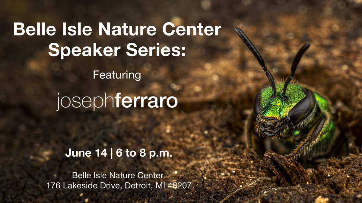 belleislenaturecenter.detroitzoo.org/events/nature-…
#macrophotography #naturecenter #photoworkshop #josephferraro