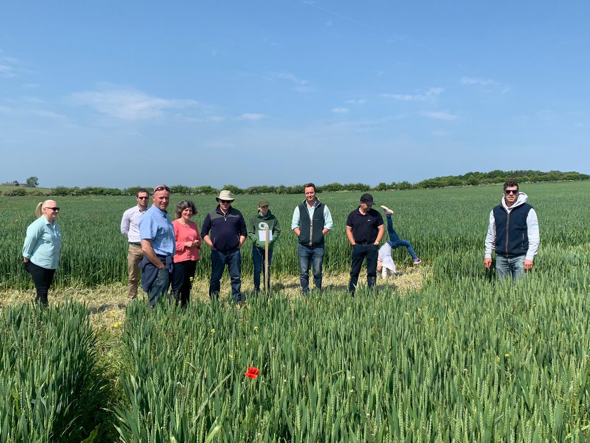 djagric's tweet photo. Great weekend in Northumberland catching up with #ACABM16 looking at Trees, Malting and Organic Seed production @FarmersCompany https://t.co/euPNJKL3rD