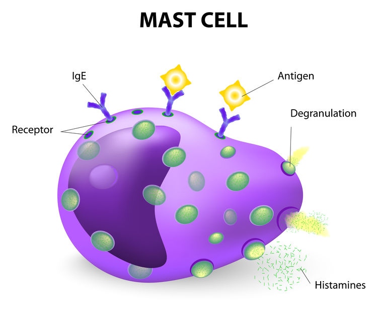 livewithmecfs's tweet photo. Many with #MECFS &amp; #longCOVID (and #EDS, #Lyme &amp; #fibro) have Mast Cell Activation Syndrome (#MCAS), which leads to all kinds of strange symptoms &amp; worsened allergies. It's treatable &amp; most treatments are cheap &amp; readily available: https://t.co/QeuX0yIjTl https://t.co/tikbZDIbVj