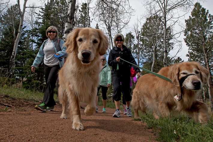 ArapahoeCU's tweet photo. Outdoor weather is officially here! Where better to enjoy it than one of our beautiful parks? With 42 State and 4 National Parks, why not take a hike and take in some of that Colorado scenery?

https://t.co/hs9QvAdBzJ

(Photo Credit: Colorado Parks &amp;Wildlife)

#CPW #GetOutside https://t.co/vZ95xuKTOm